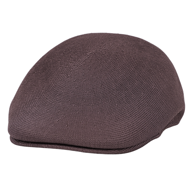 Kangol Original Flatcap Tropic 507 Seamless grau